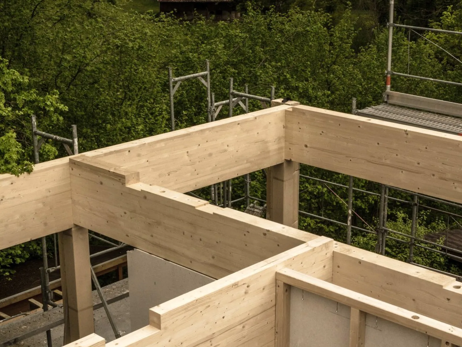 Holzkonstruktion eines Gebäudes im Bau, umgeben von grüner Landschaft und Gerüsten.