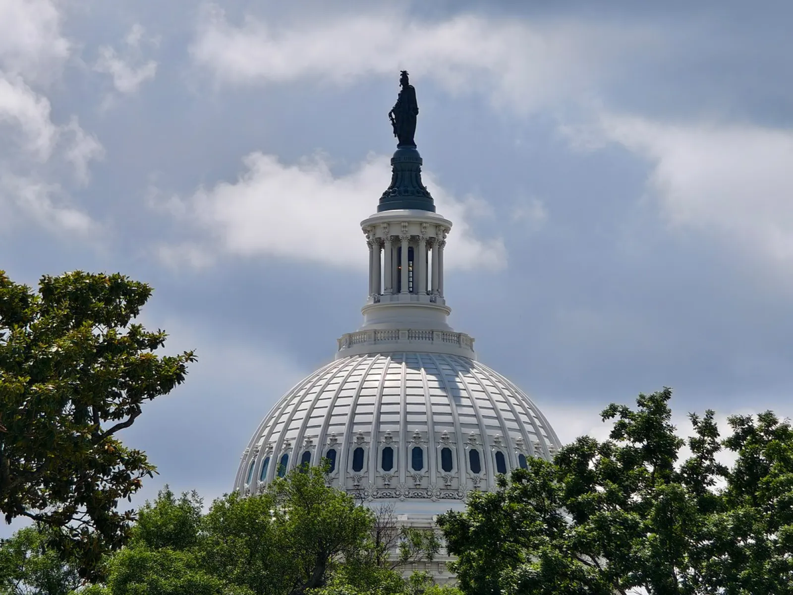Kuppel des US-Kapitols in Washington D.C., umgeben von Bäumen, unter einem bewölkten Himmel.