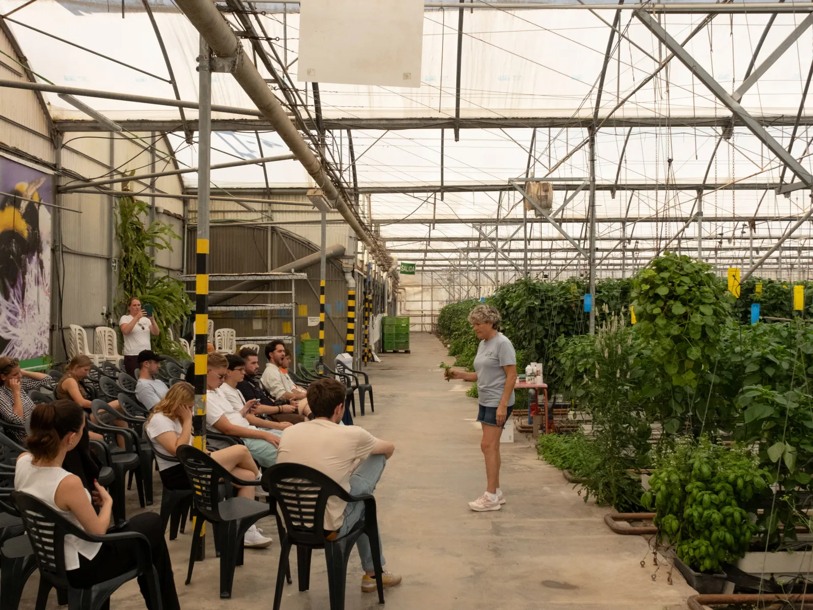 Frau führt Gruppe durch ein Gewächshaus
