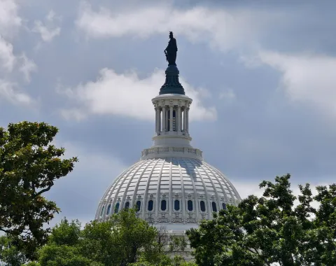 Kuppel des US-Kapitols in Washington D.C., umgeben von Bäumen, unter einem bewölkten Himmel.