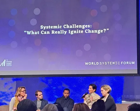 World Systemic Forum 2025 - Flums